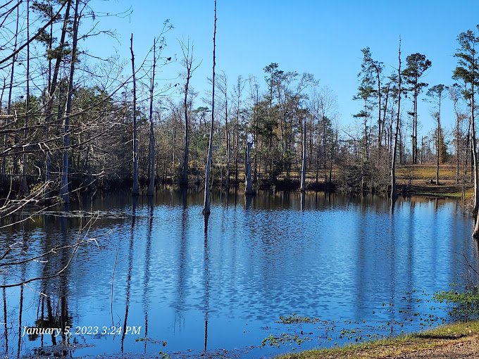 Sam Houston Jones State Park